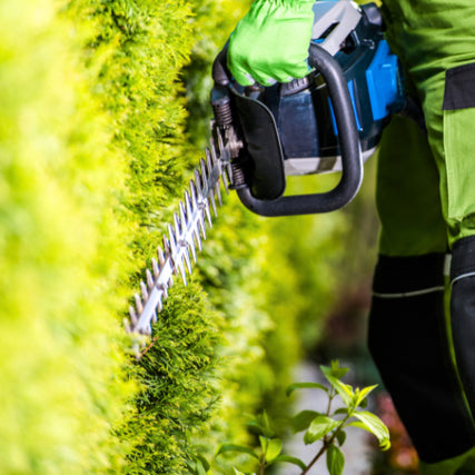 Landscaping RentalsPerson in green attire using a hedge trimmer on a lush, vibrant green bush. The scene conveys precision and calm focus in gardening.